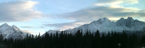 schwartzswartz Profile Banner