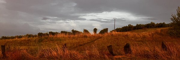 CecileCommarieu Profile Banner