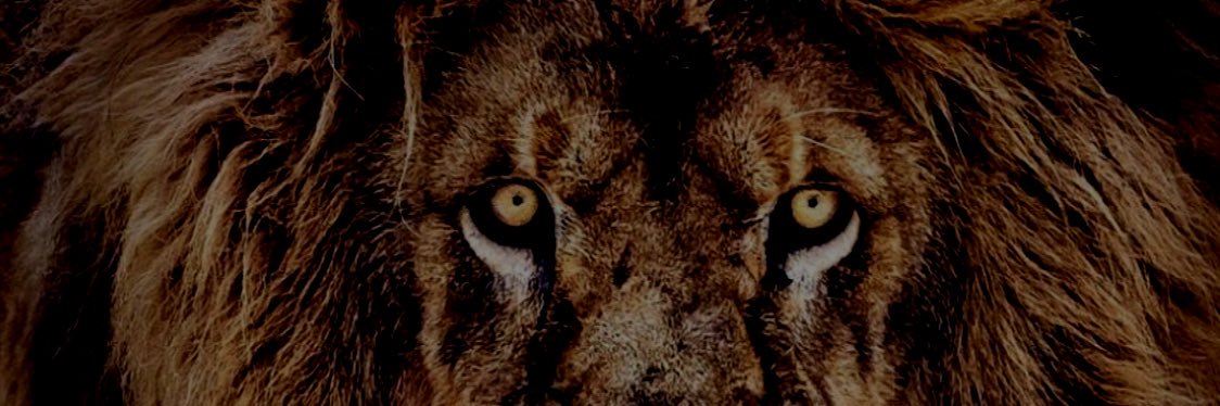 Brennen Fowler banner