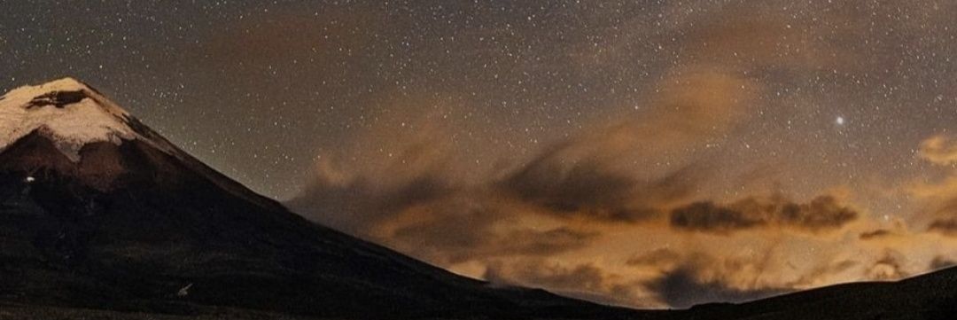 FrankT banner