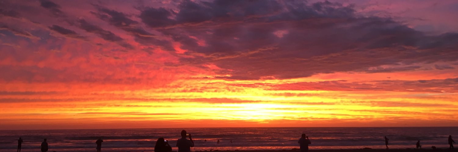 torijkerr's profile banner image