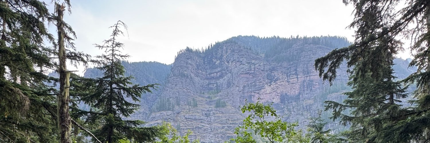 Tweedaman's profile banner image