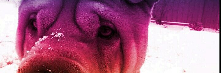 SweetManolo's profile banner image