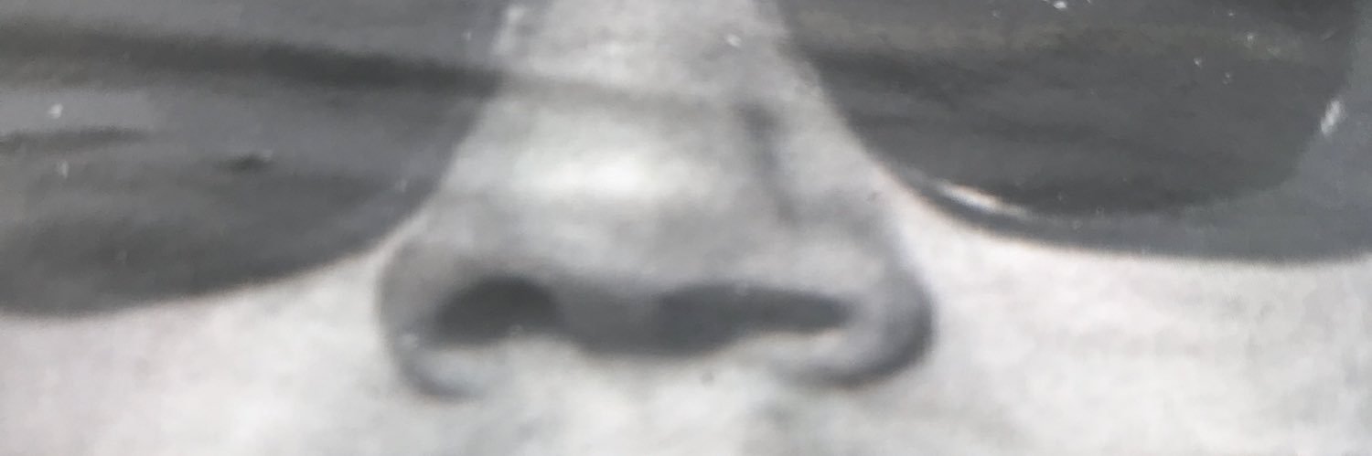 floprite's profile banner image
