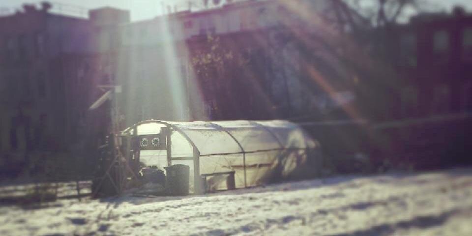 EAST NEW YORK FARMS! banner