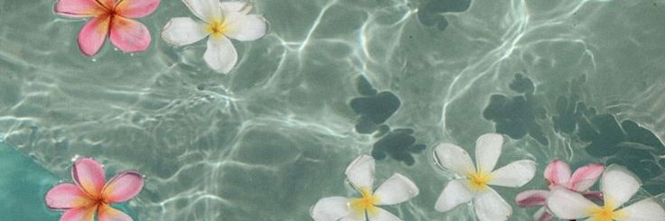 DendyPeach's profile banner image