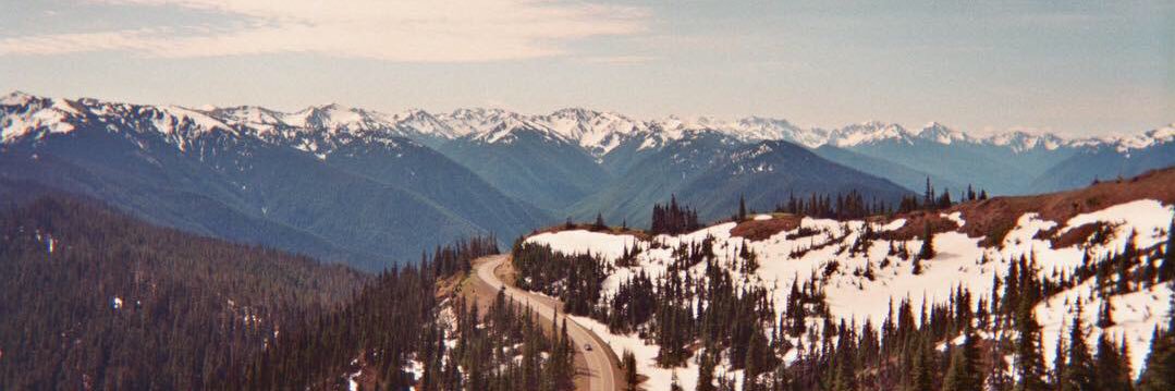 Madelinelinder's profile banner image
