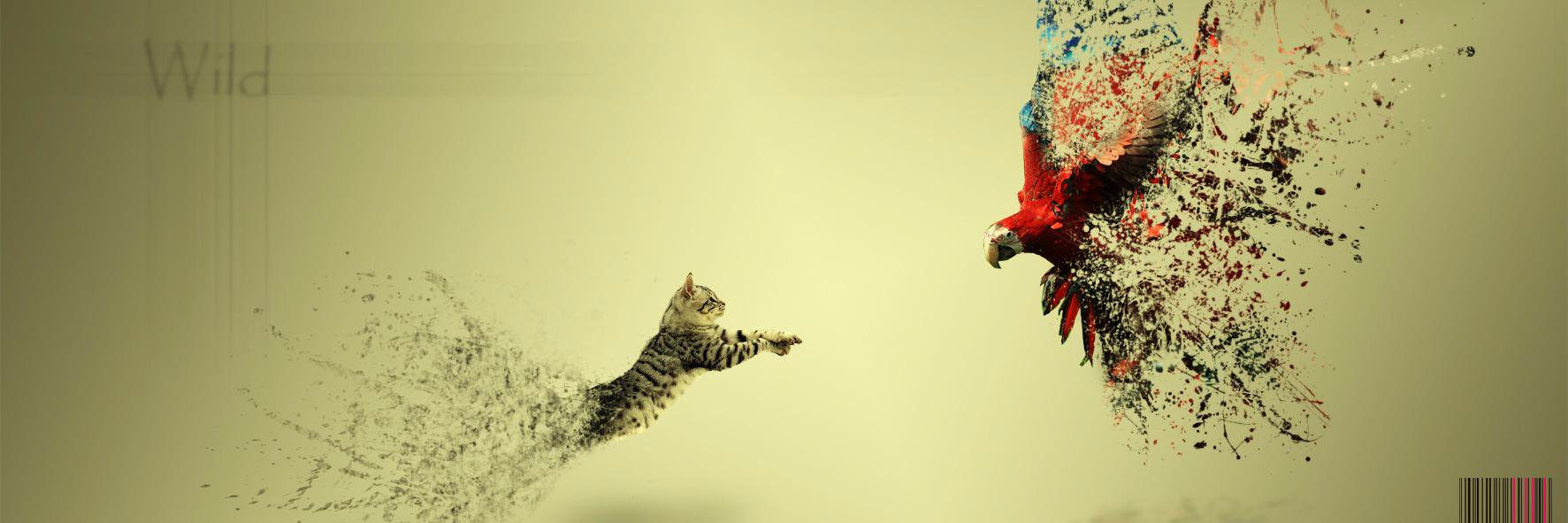danmccarneysaen's profile banner image