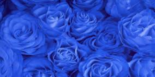 See_ANew_Era's profile banner image