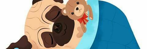 silviaedith1954's profile banner image