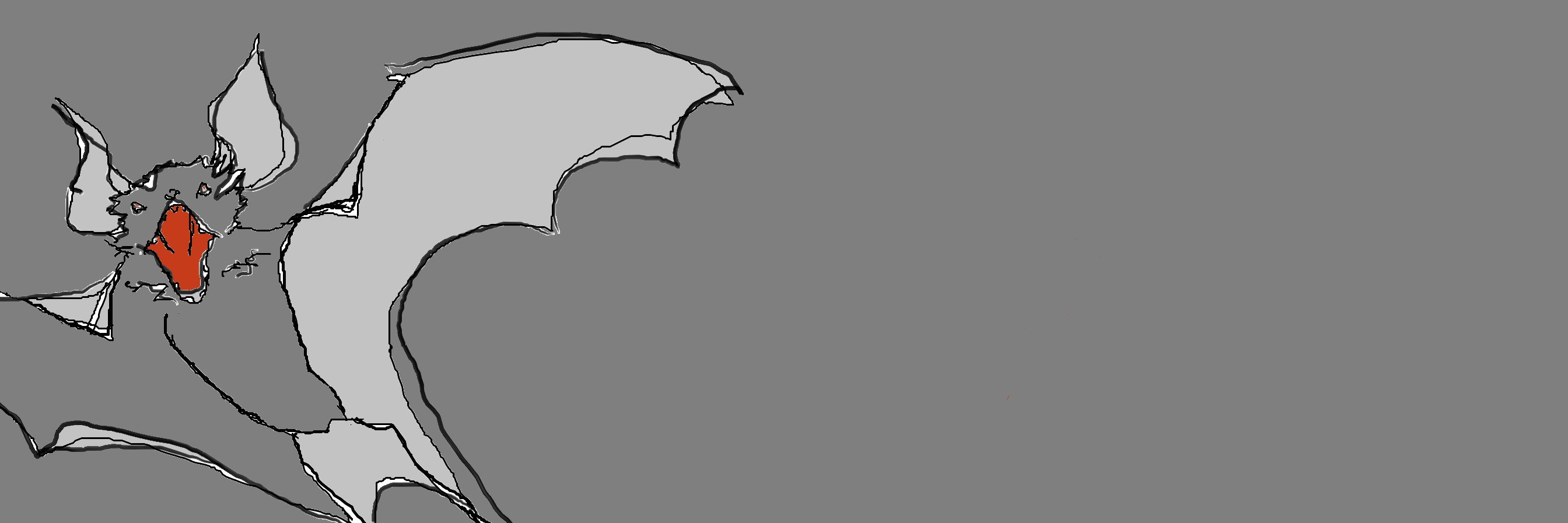 CataPhote's profile banner image