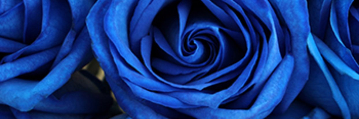 love__chey's profile banner image