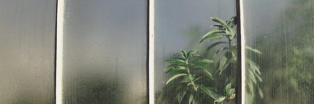 Tom P. Johnson banner