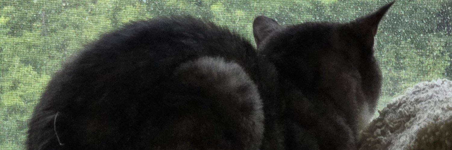 blondedkyle's profile banner image