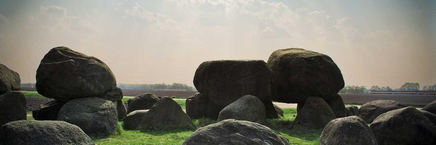 sky 🐉 $MON banner