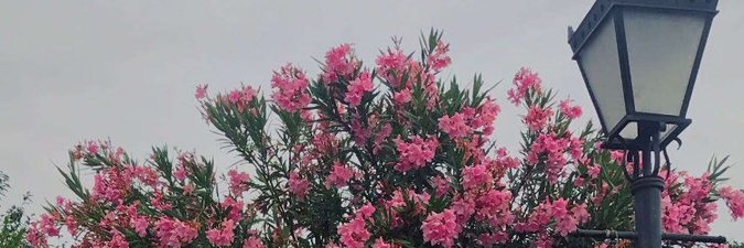 y7lamoon_13's profile banner image