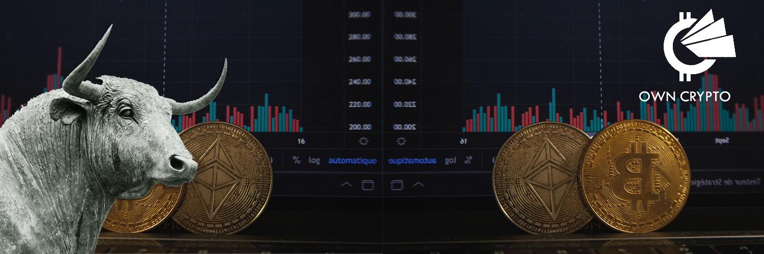 ownthecrypto's profile banner image