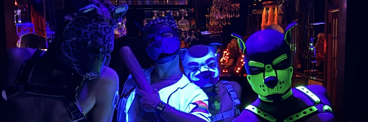 pup_azzul's profile banner image
