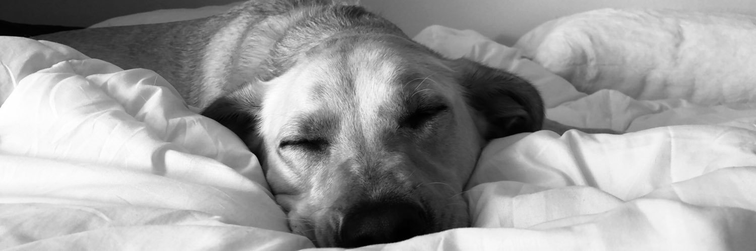 bailey_kayoh's profile banner image