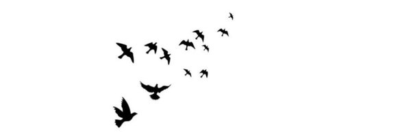 benAamer4's profile banner image
