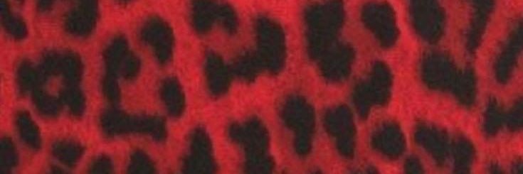 CamilaPanella's profile banner image