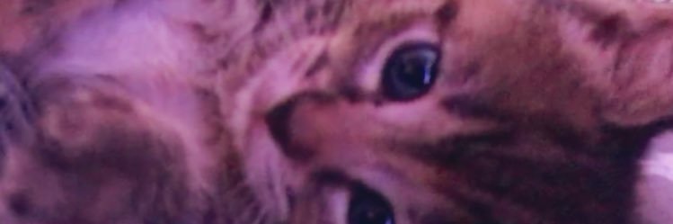 ethanpettit8's profile banner image