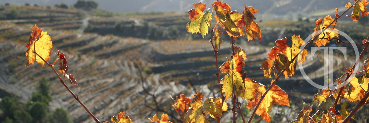 TerroirTalking's profile banner image