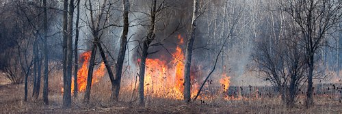 Rankin County Emergency Operations banner