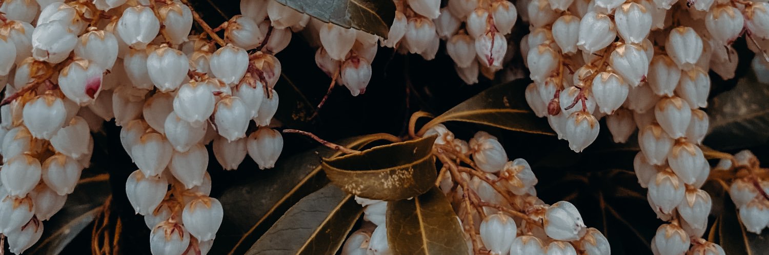 dee__419's profile banner image