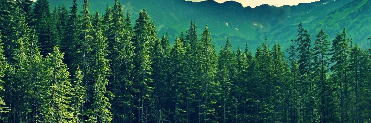 Timber79's profile banner image