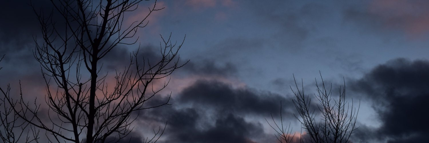 Anzy95's profile banner image