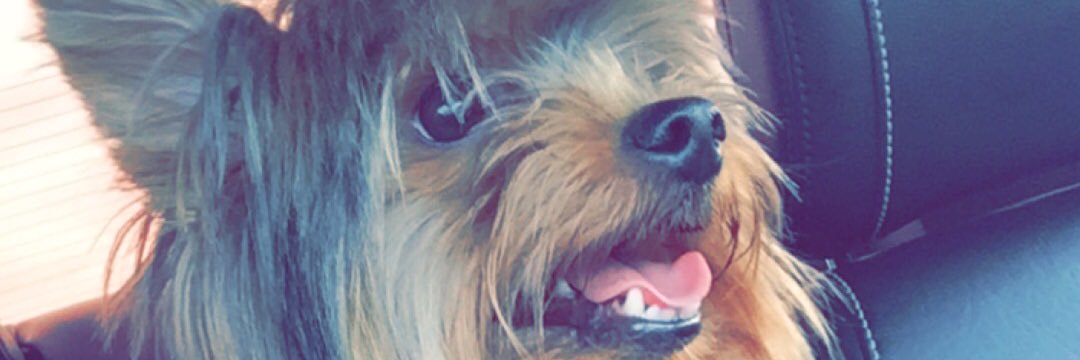 audrinaa_'s profile banner image