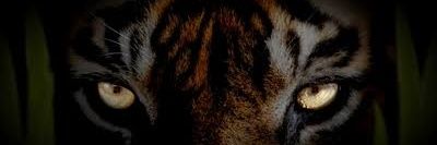 gustian96s's profile banner image