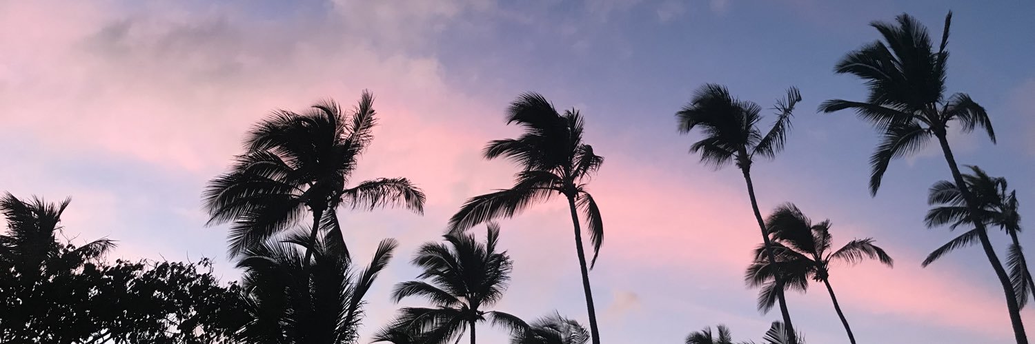 Amandoamila's profile banner image