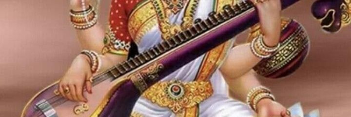 vikschomal80's profile banner image