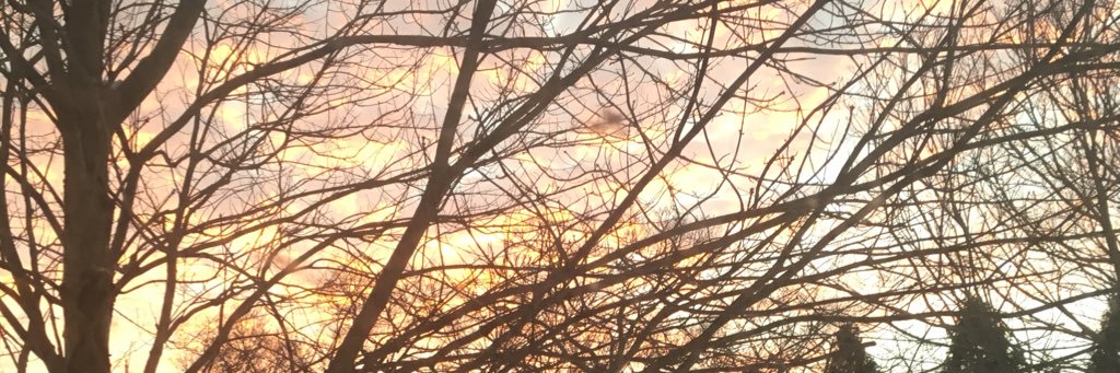 twilk612's profile banner image