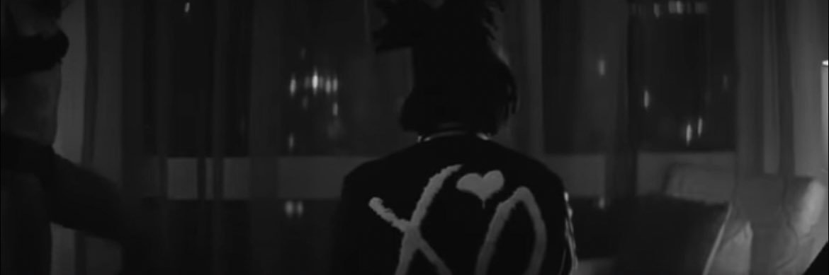 dani banner