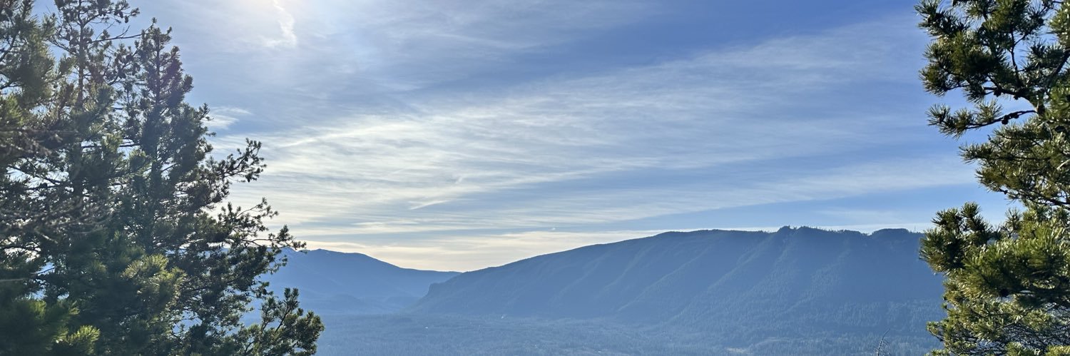 frodonubbins's profile banner image