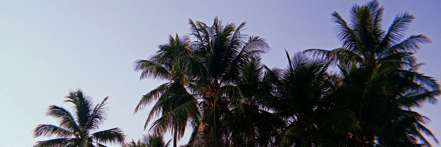 _syarifsetio's profile banner image