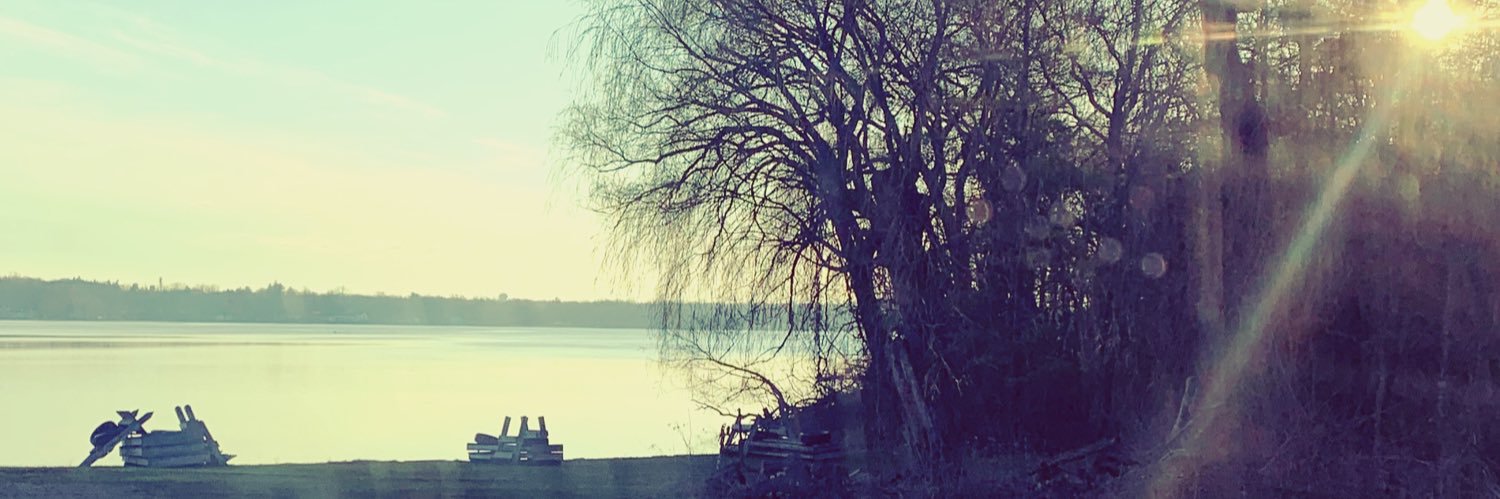 swthesw's profile banner image