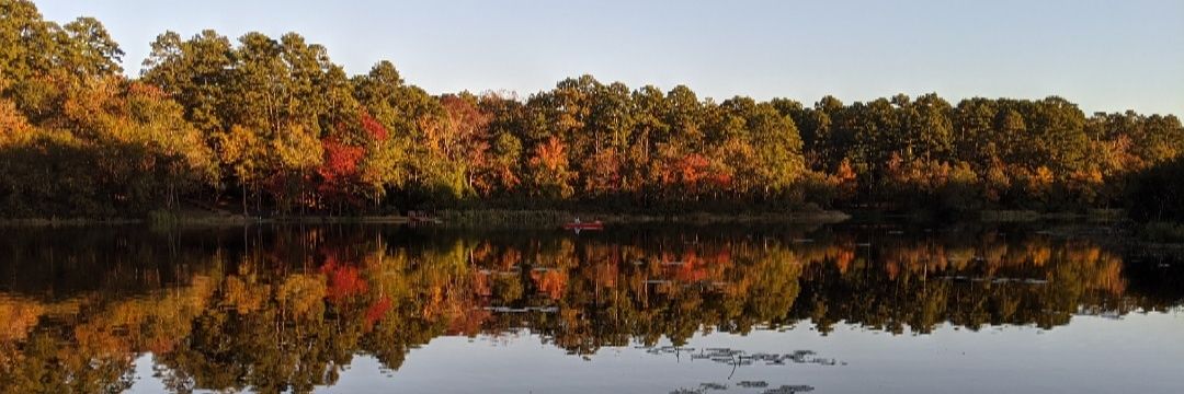 AngelaMuzyka's profile banner image