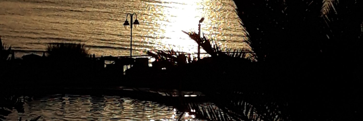 RSessa58's profile banner image