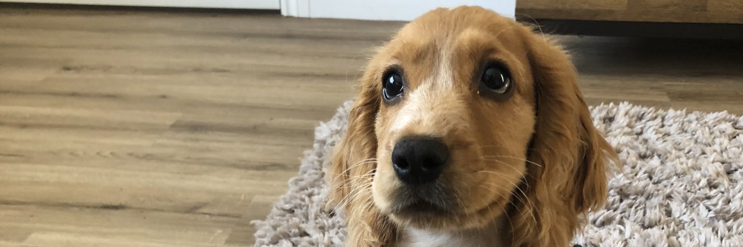 George W-Sturrock banner