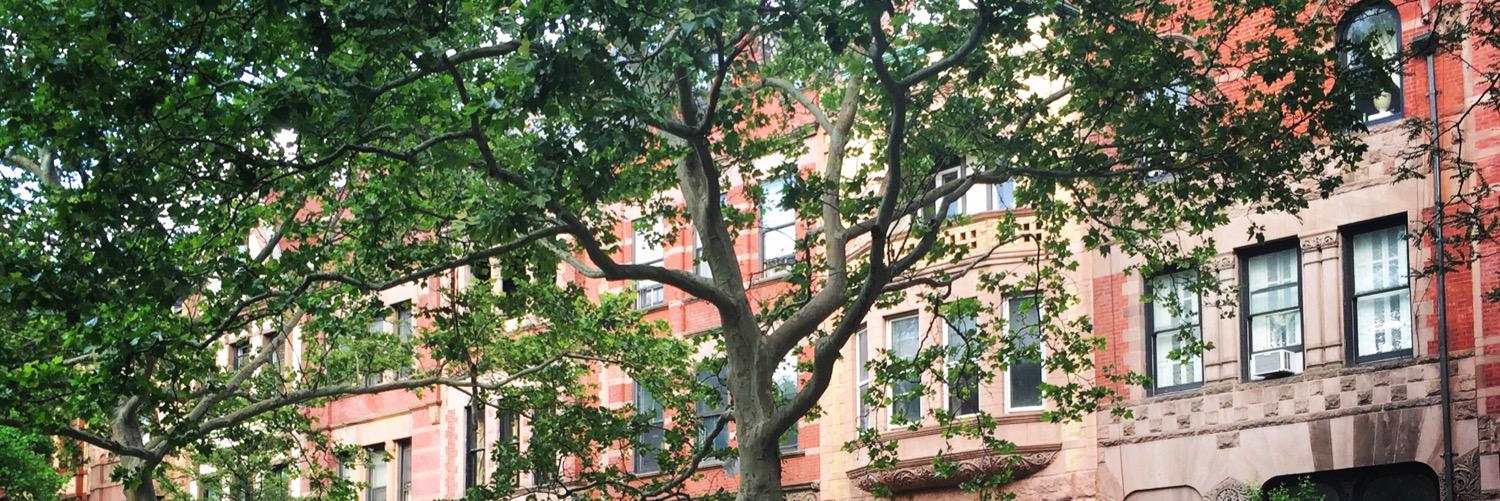 Paige Schultz banner