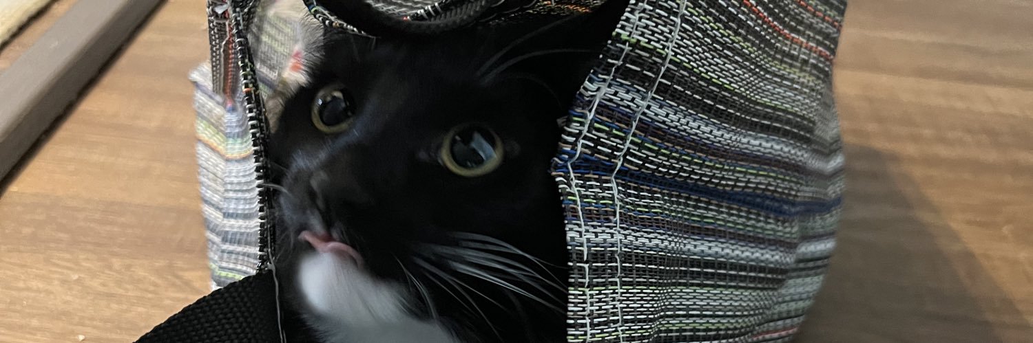 godessofshit's profile banner image