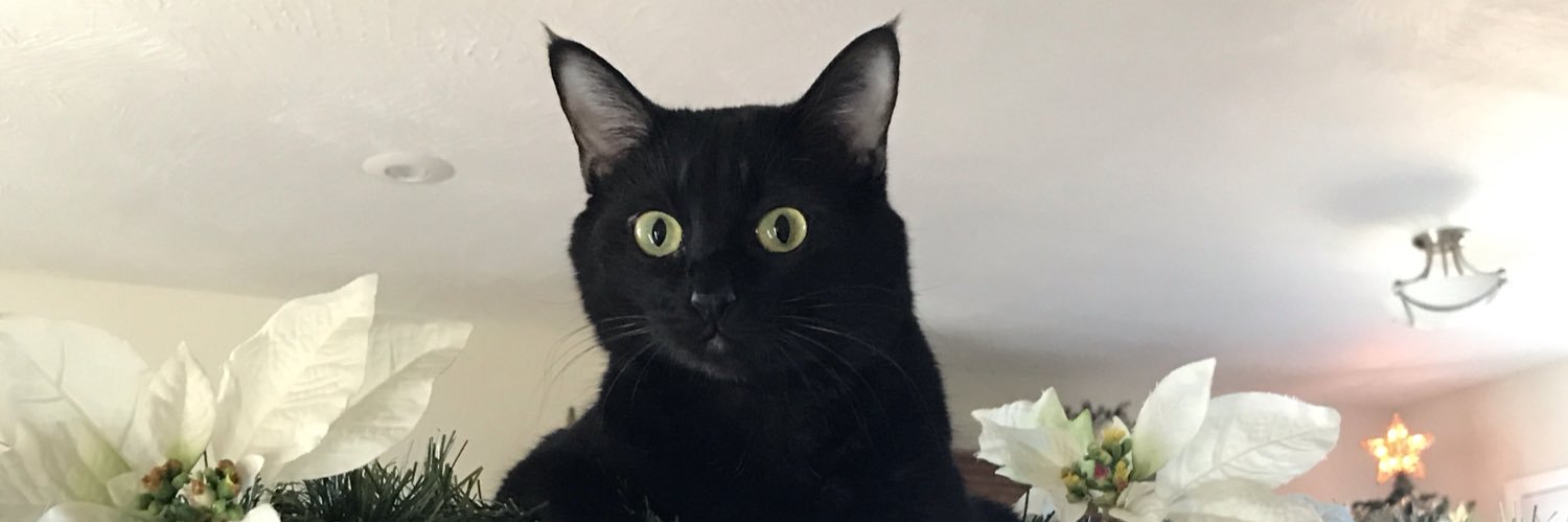 willmed13's profile banner image