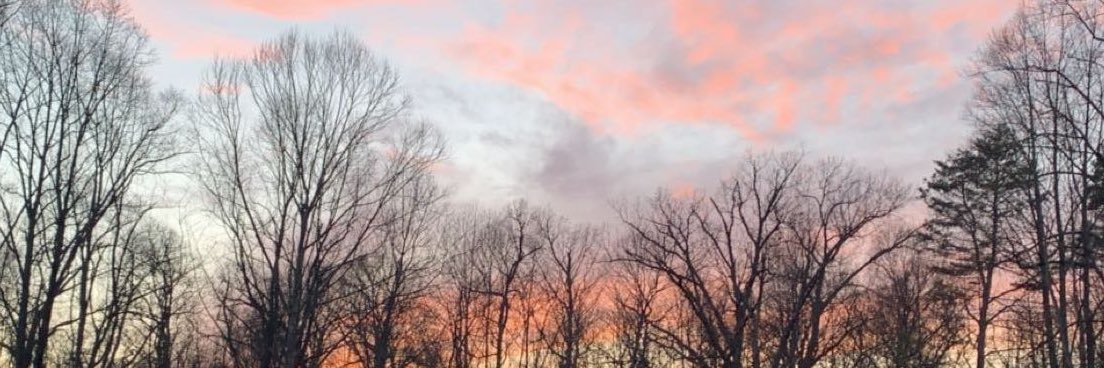 AllyssaWilson33's profile banner image