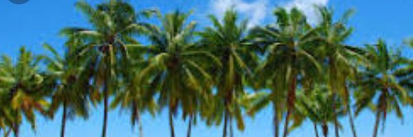 Tbevibes Profile Banner