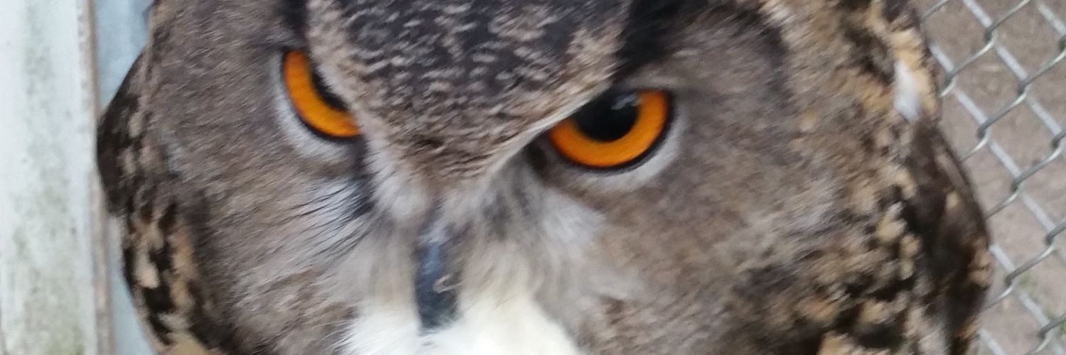 LadyHecate3's profile banner image