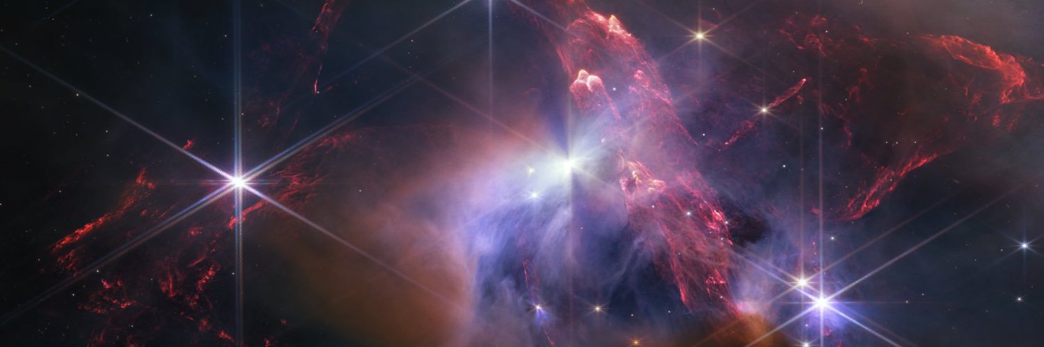 Dorothy Jean Chang banner